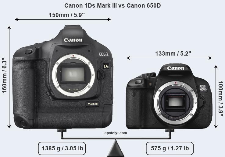 Size Canon 1Ds Mark III vs Canon 650D