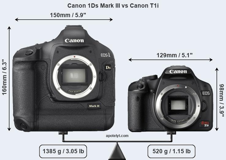 Size Canon 1Ds Mark III vs Canon T1i