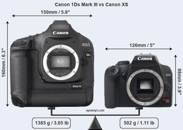 Size Canon 1Ds Mark III vs Canon XS
