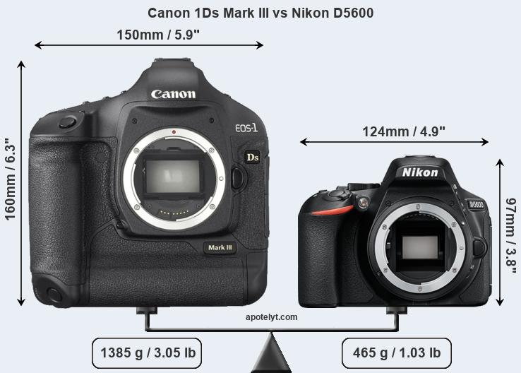 Size Canon 1Ds Mark III vs Nikon D5600