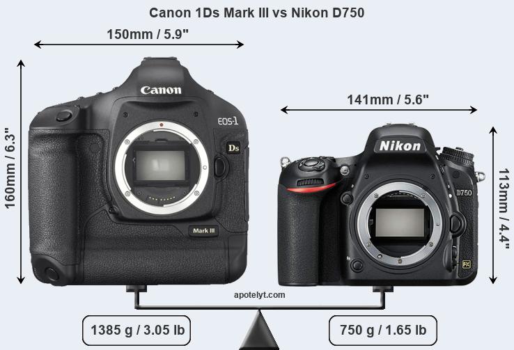 Size Canon 1Ds Mark III vs Nikon D750