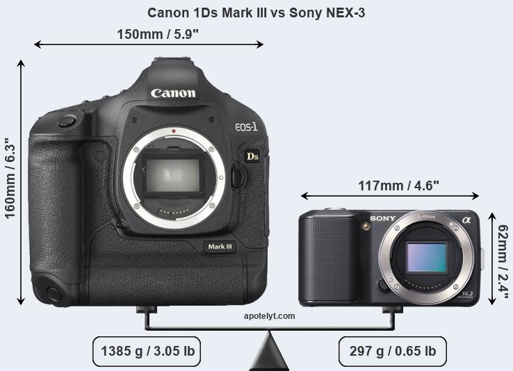 Size Canon 1Ds Mark III vs Sony NEX-3