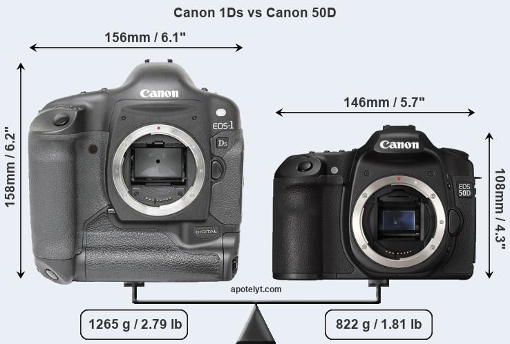 Cokes Verscherpen Veroveren Canon 1Ds vs Canon 50D Comparison Review