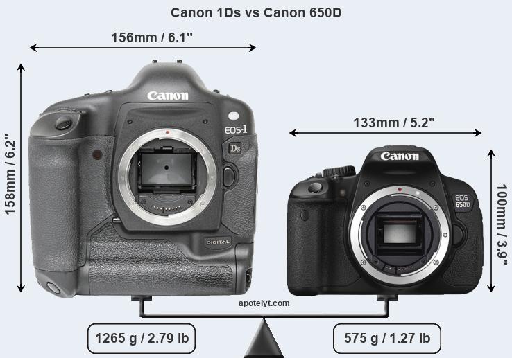 Size Canon 1Ds vs Canon 650D