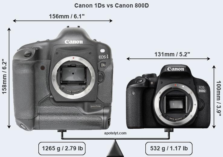 Size Canon 1Ds vs Canon 800D