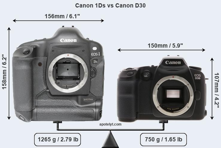 Size Canon 1Ds vs Canon D30