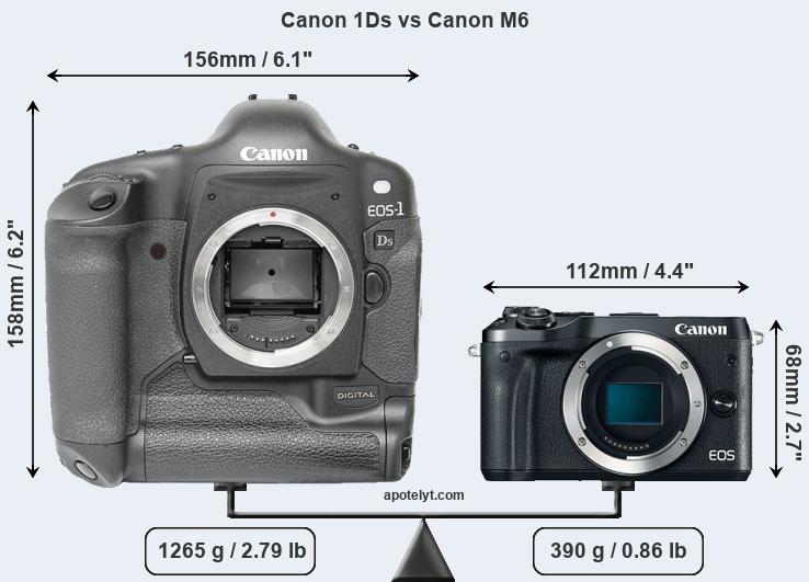 Size Canon 1Ds vs Canon M6