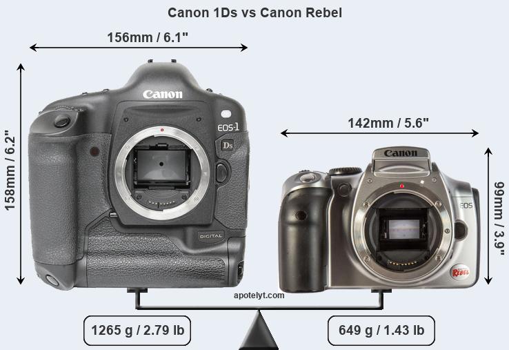 Size Canon 1Ds vs Canon Rebel