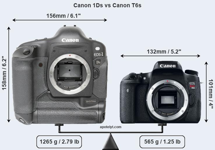 Size Canon 1Ds vs Canon T6s
