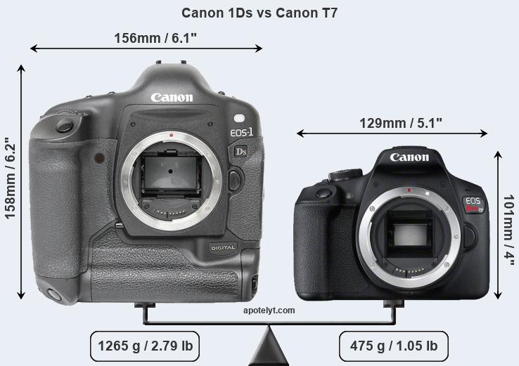 Size Canon 1Ds vs Canon T7