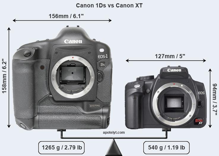 Size Canon 1Ds vs Canon XT