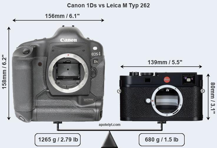 Size Canon 1Ds vs Leica M Typ 262