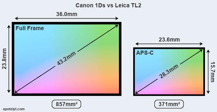Canon 1Ds and Leica TL2 sensor measures