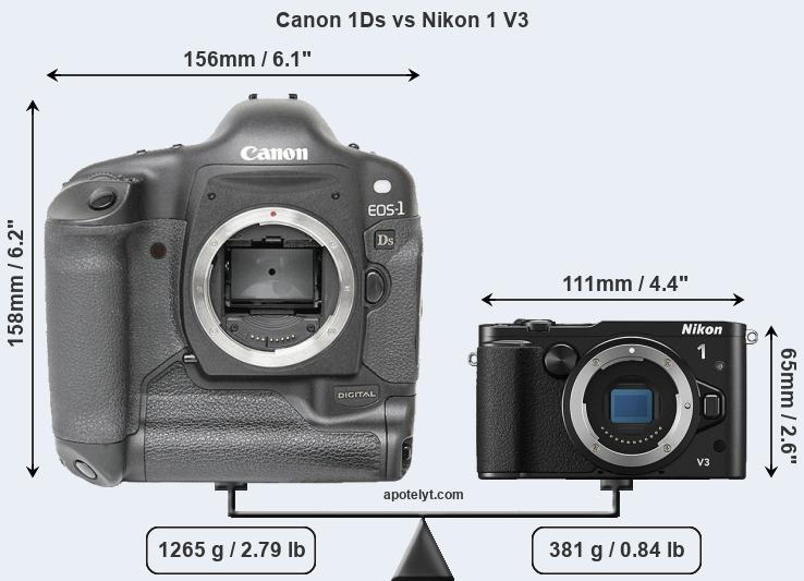 Size Canon 1Ds vs Nikon 1 V3