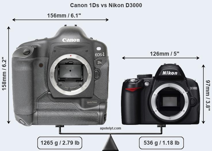 Size Canon 1Ds vs Nikon D3000
