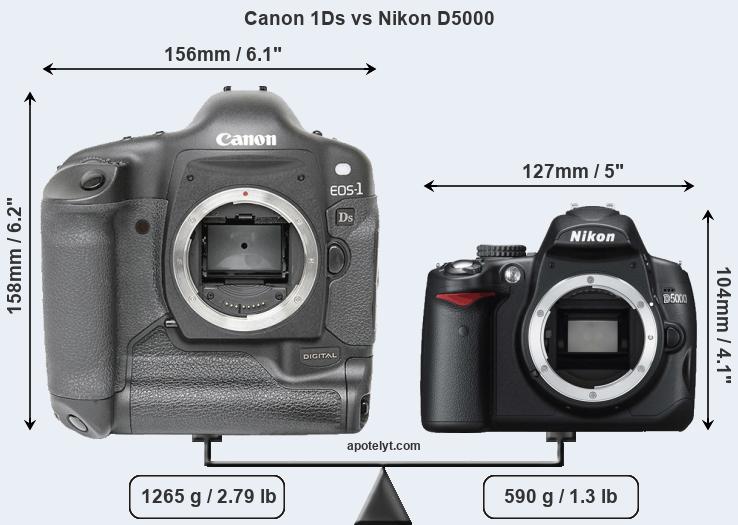 Size Canon 1Ds vs Nikon D5000