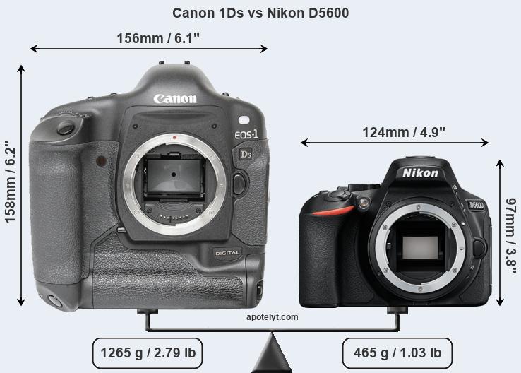 Size Canon 1Ds vs Nikon D5600