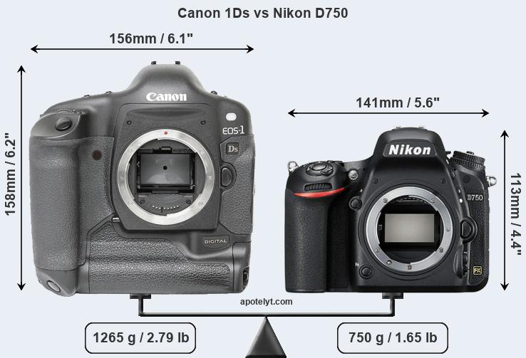 Size Canon 1Ds vs Nikon D750