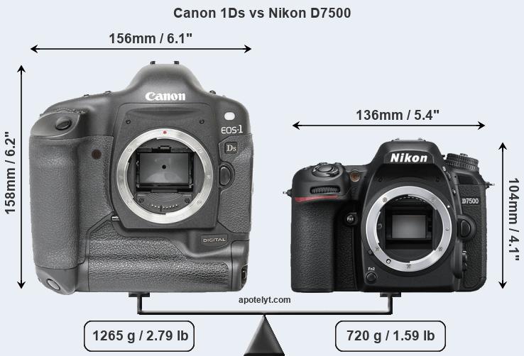 Size Canon 1Ds vs Nikon D7500