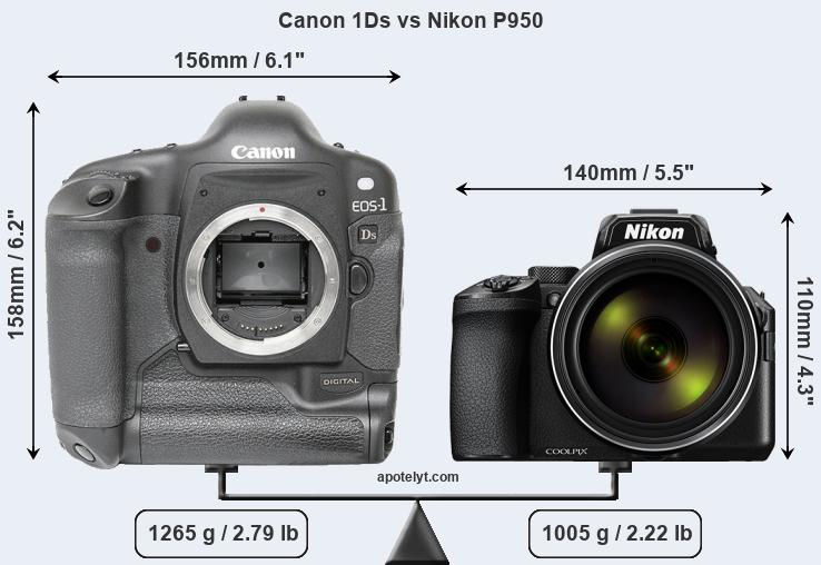 Size Canon 1Ds vs Nikon P950