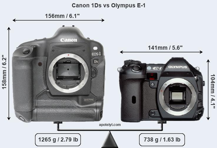 Size Canon 1Ds vs Olympus E-1