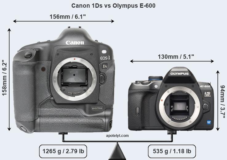 Size Canon 1Ds vs Olympus E-600