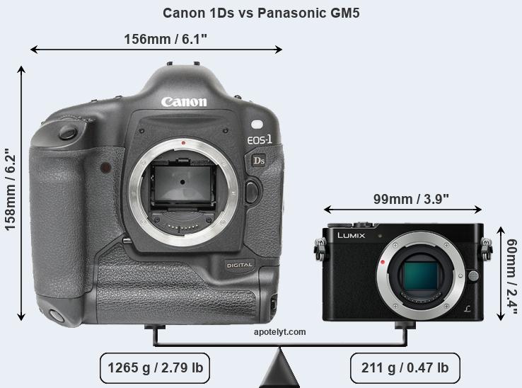 Size Canon 1Ds vs Panasonic GM5