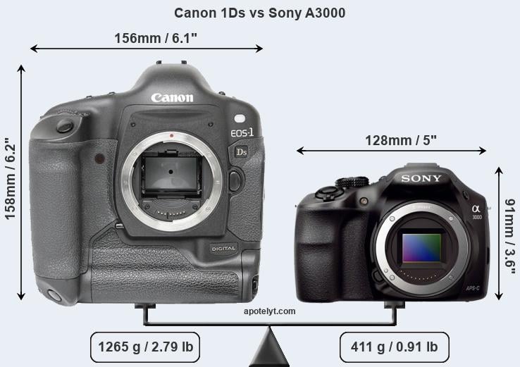 Size Canon 1Ds vs Sony A3000