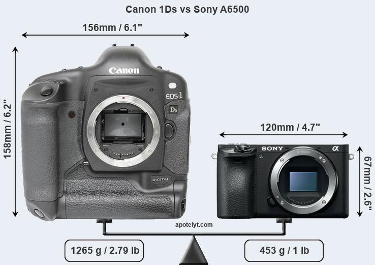 Size Canon 1Ds vs Sony A6500
