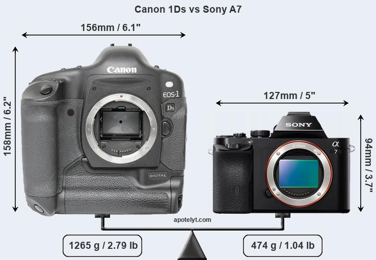 Size Canon 1Ds vs Sony A7