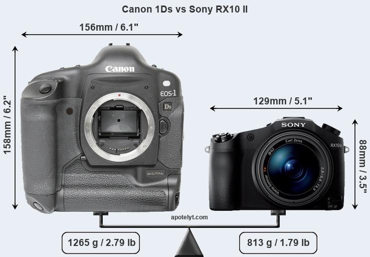 Size Canon 1Ds vs Sony RX10 II
