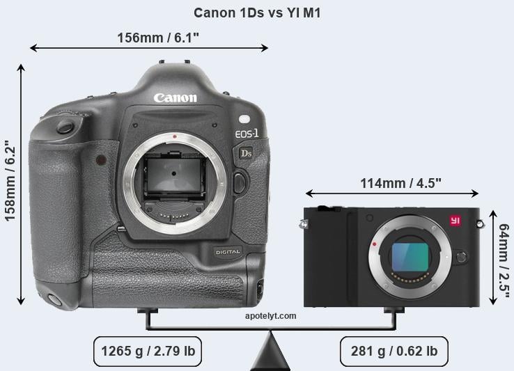Size Canon 1Ds vs YI M1