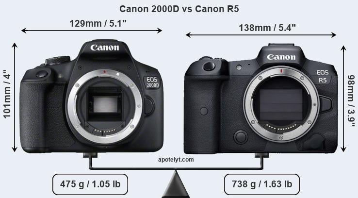 Size Canon 2000D vs Canon R5