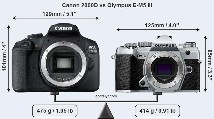Size Canon 2000D vs Olympus E-M5 III