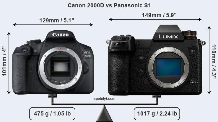 Size Canon 2000D vs Panasonic S1
