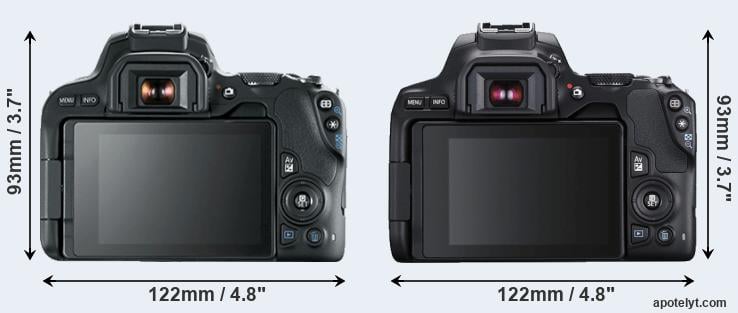 sjaal Keelholte onderwijs Canon 200D vs Canon 250D Comparison Review