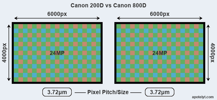 Canon vs Canon 800D Review