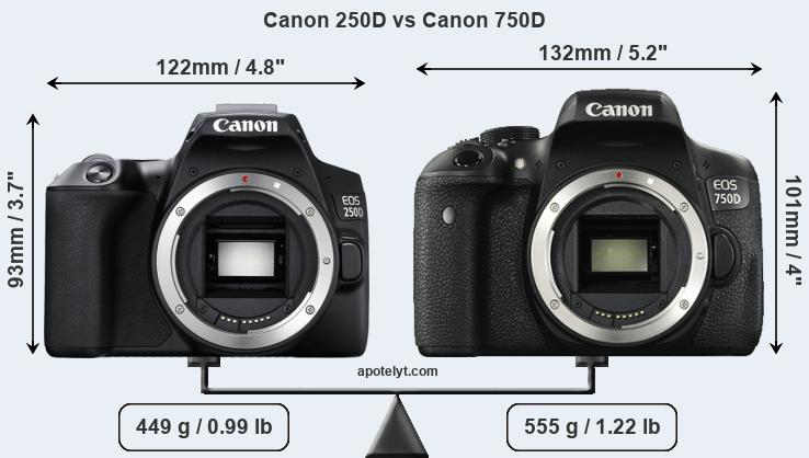 Size Canon 250D vs Canon 750D
