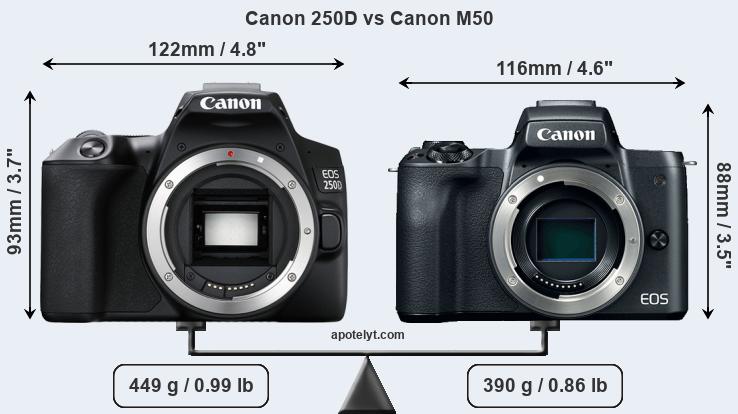 Size Canon 250D vs Canon M50