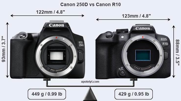 Size Canon 250D vs Canon R10
