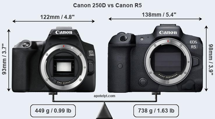 Size Canon 250D vs Canon R5