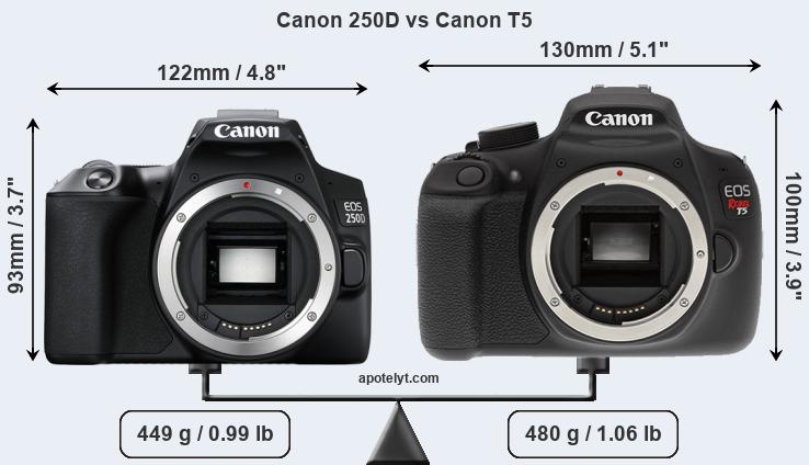 Size Canon 250D vs Canon T5