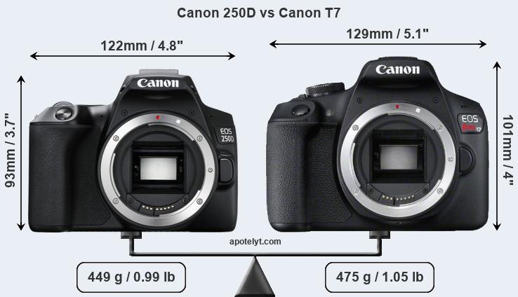 Size Canon 250D vs Canon T7