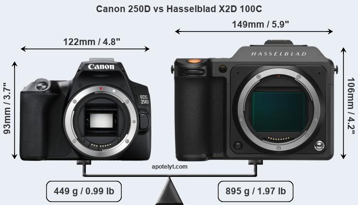 Size Canon 250D vs Hasselblad X2D 100C