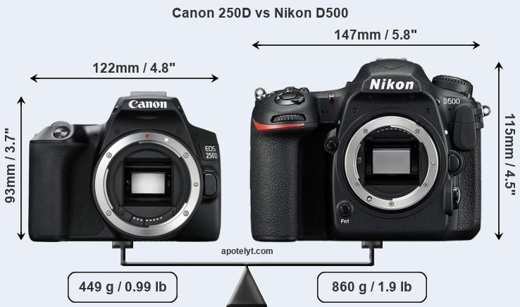 Size Canon 250D vs Nikon D500