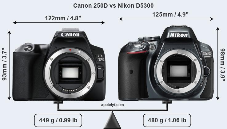 Size Canon 250D vs Nikon D5300
