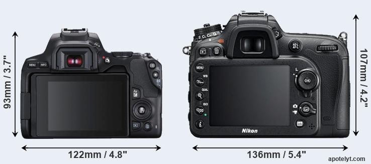 output Banyan Grave Canon 250D vs Nikon D7200 Comparison Review