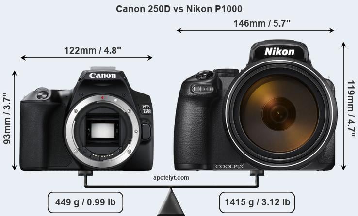 Size Canon 250D vs Nikon P1000