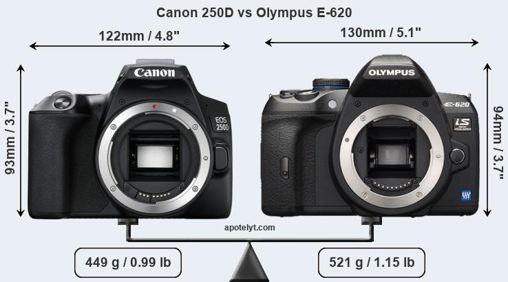 Size Canon 250D vs Olympus E-620