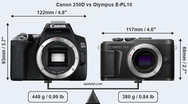 Size Canon 250D vs Olympus E-PL10